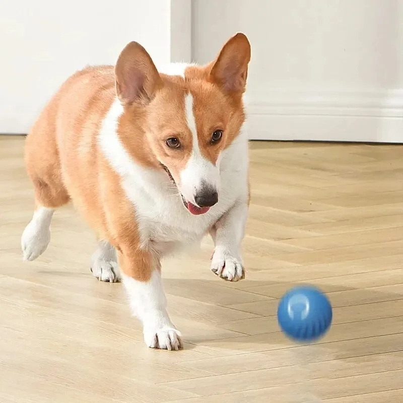 Interactive Smart Dog Ball