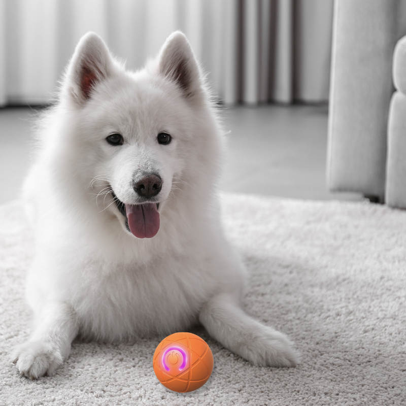 Interactive Smart Dog Ball